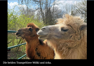 Bild TA 16.04.2025